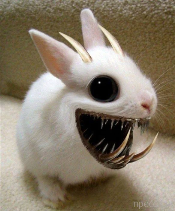 20 марта 14.webp