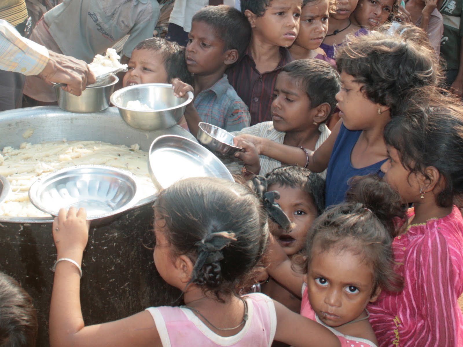 2010-July-17-feeding-crop-1.jpg