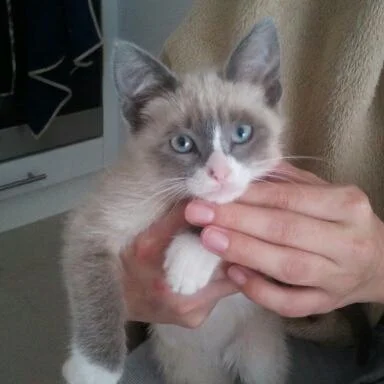 2012-06-16 10.42.49-1.webp