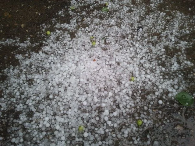 2012-07-19 17.25.40.webp