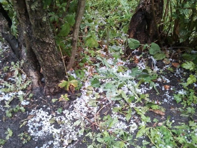 2012-07-19 17.26.26.webp