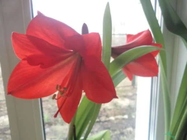 2012-12-31 21-00-00 (15).webp