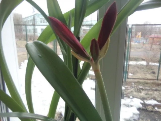 2012-12-31 21-00-00 (48).webp