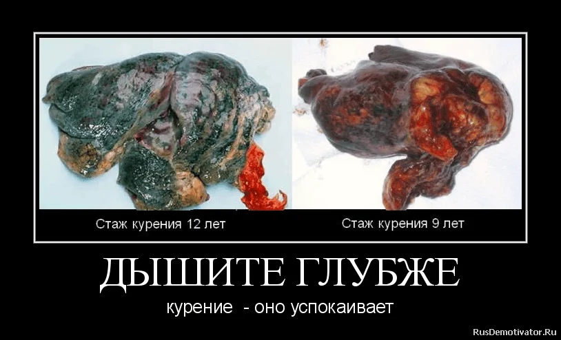 2012101501514762 (1).webp