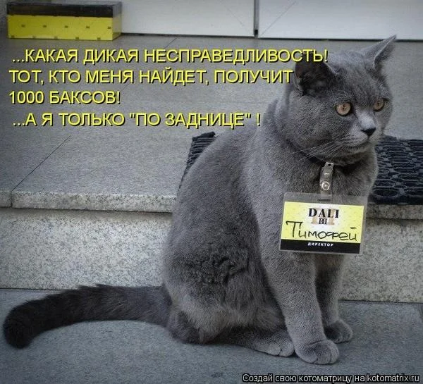 20122007173713.webp