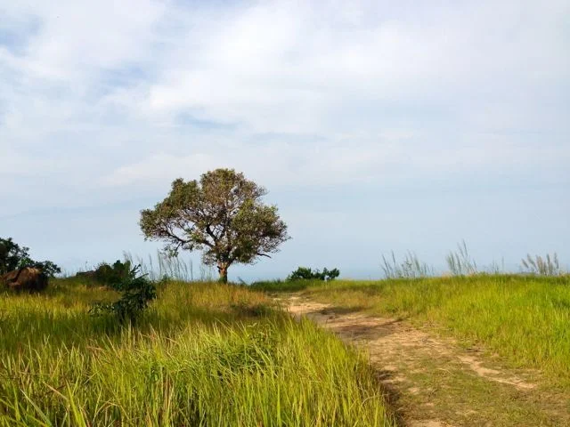 2013-02-26 16.30.52.webp