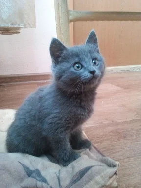 2013-03-26 14.18.49.webp