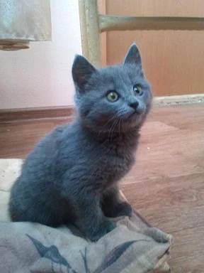 2013-03-26 14.18.491.webp