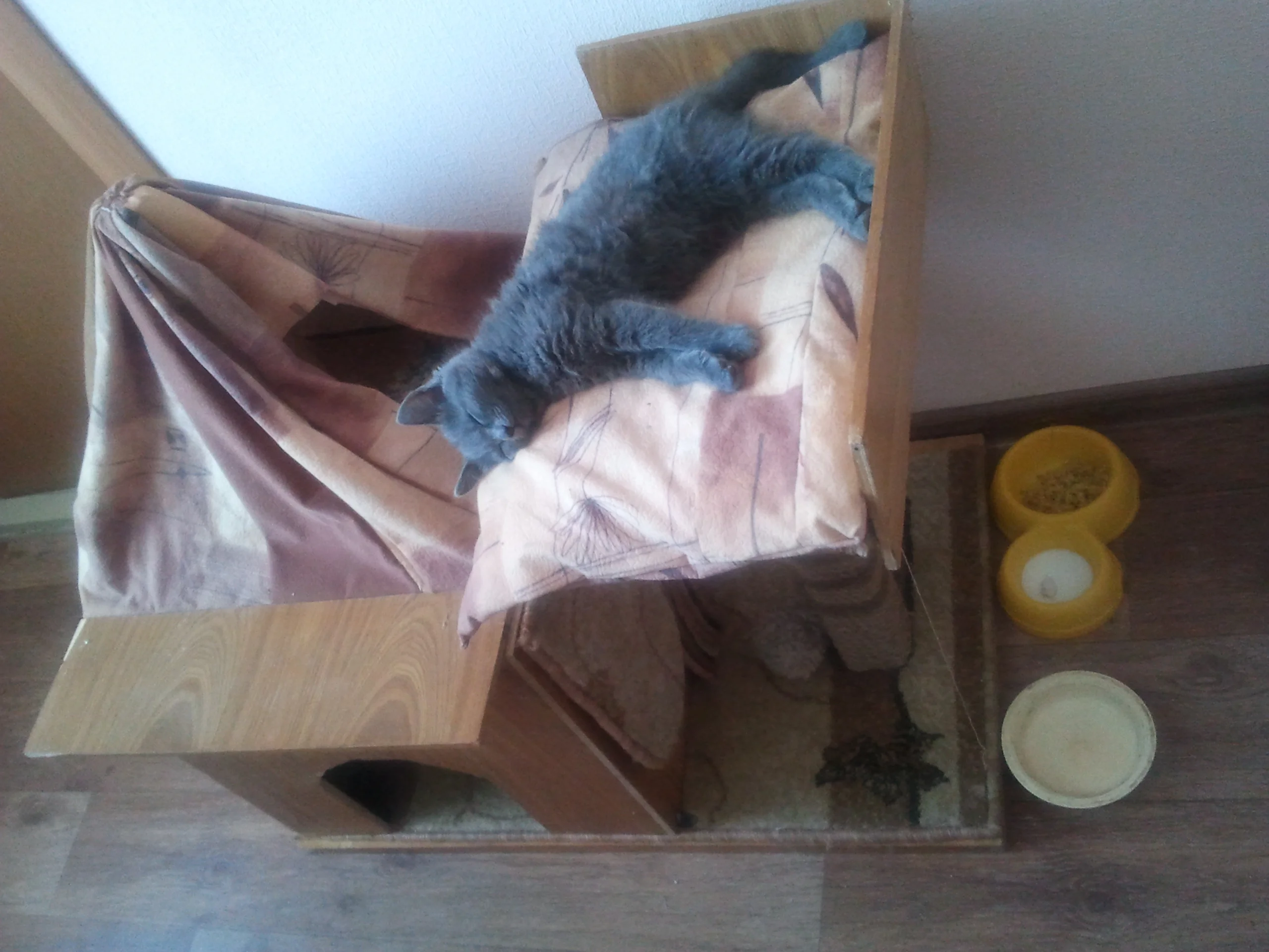 2013-04-07 17.20.59.webp