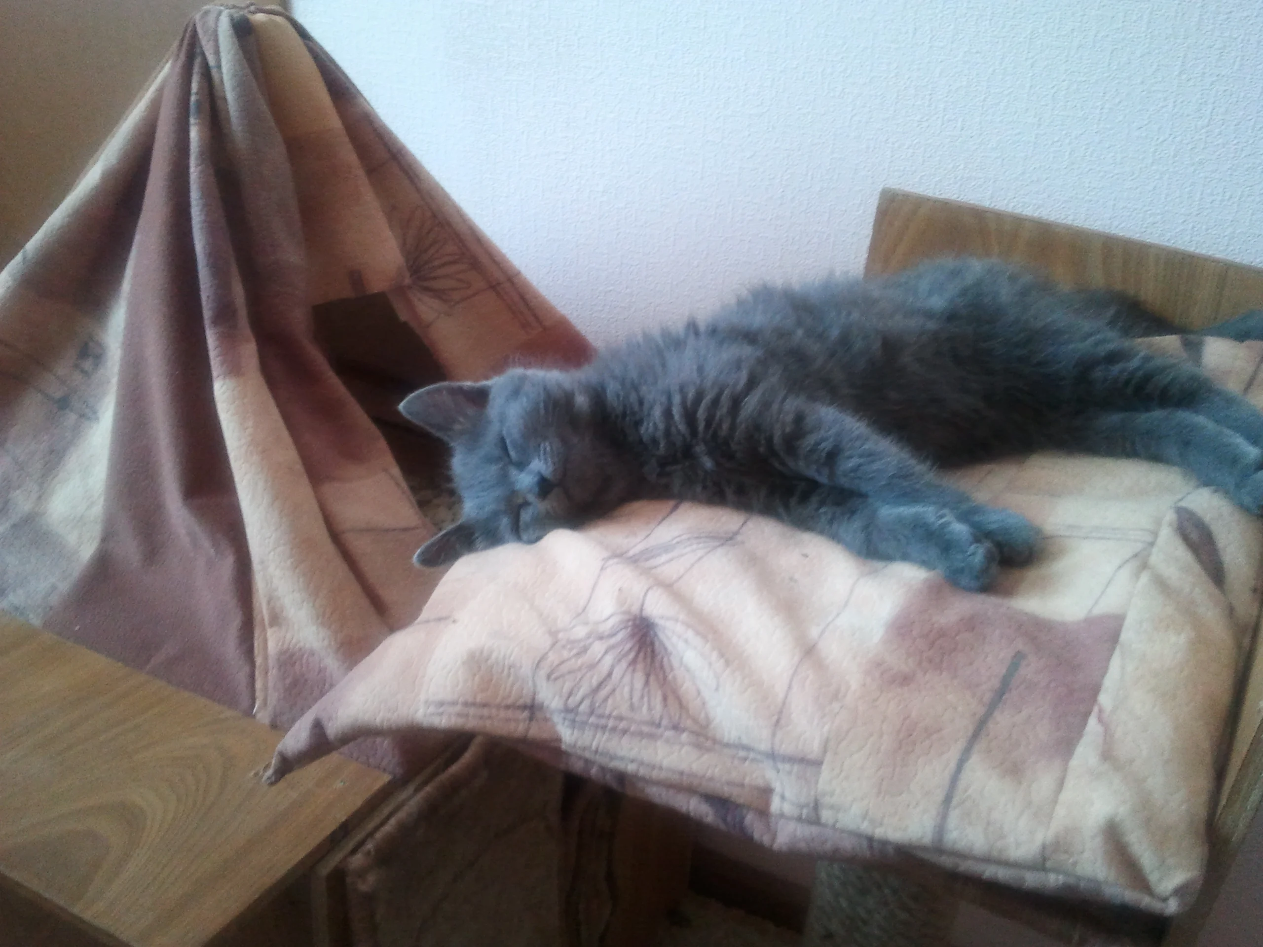 2013-04-07 17.21.29.webp