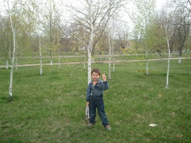 2013-04-07 18.25.31.webp