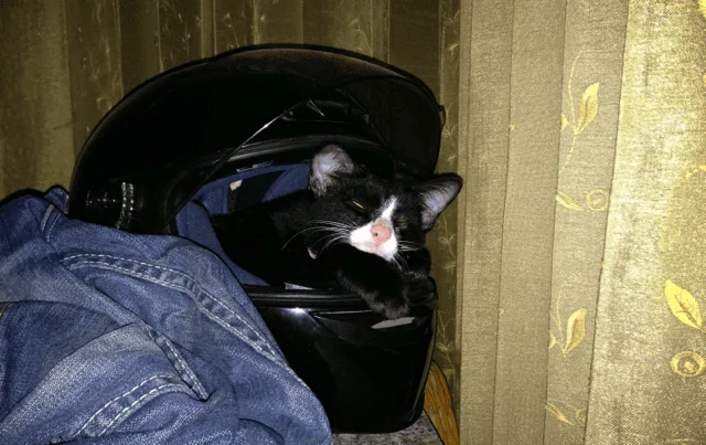 2013-04-14 00.20.57.webp