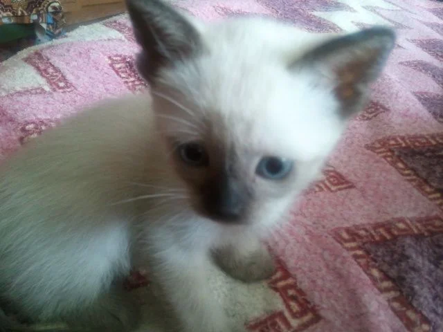 2013-04-15 10.57.14.webp