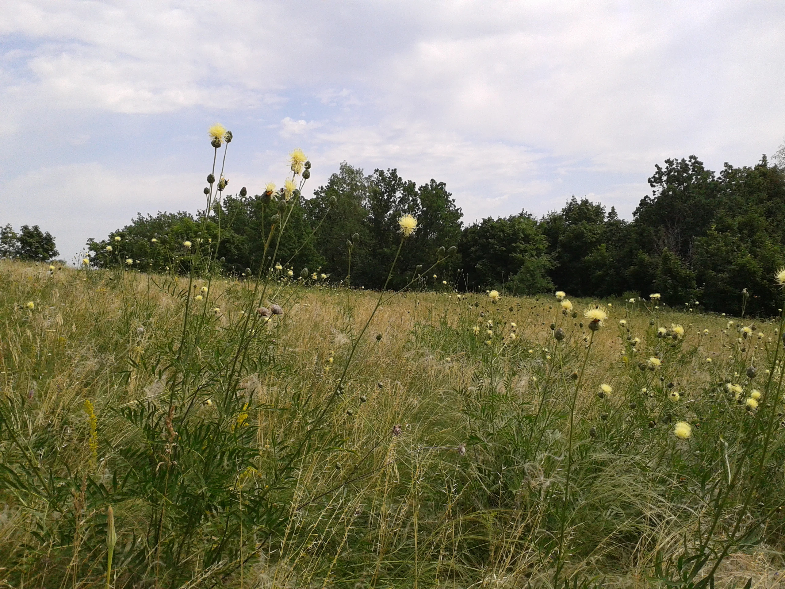 2013-06-22 15.30.02.webp