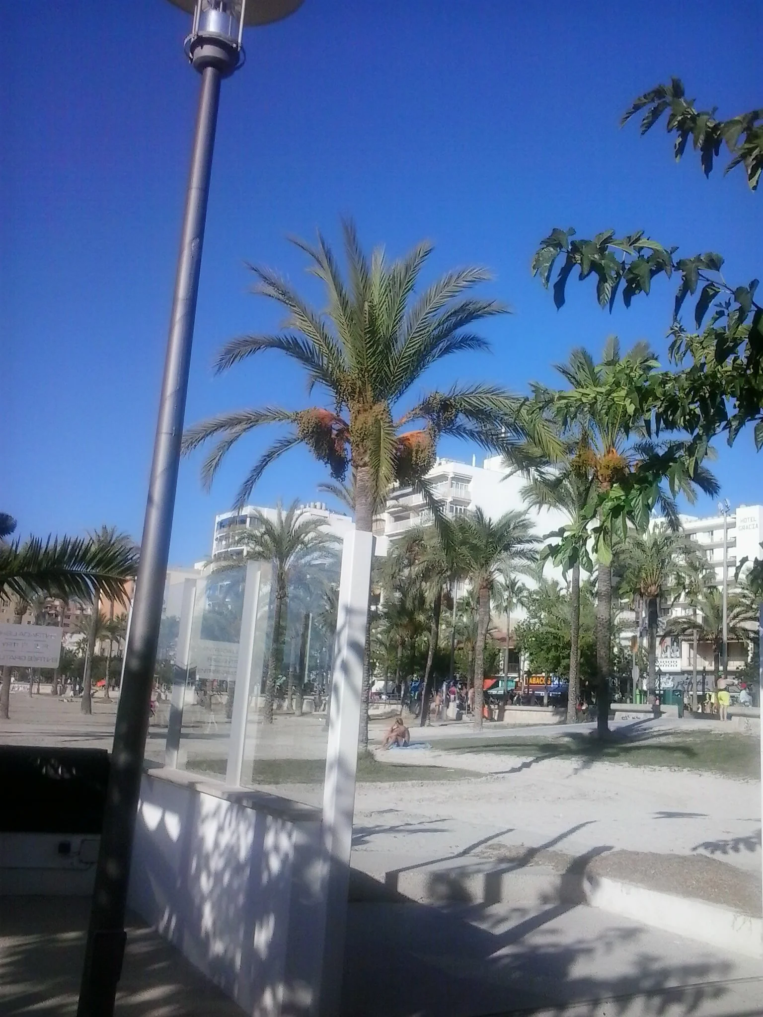 2013-09-18 19.53.31.webp