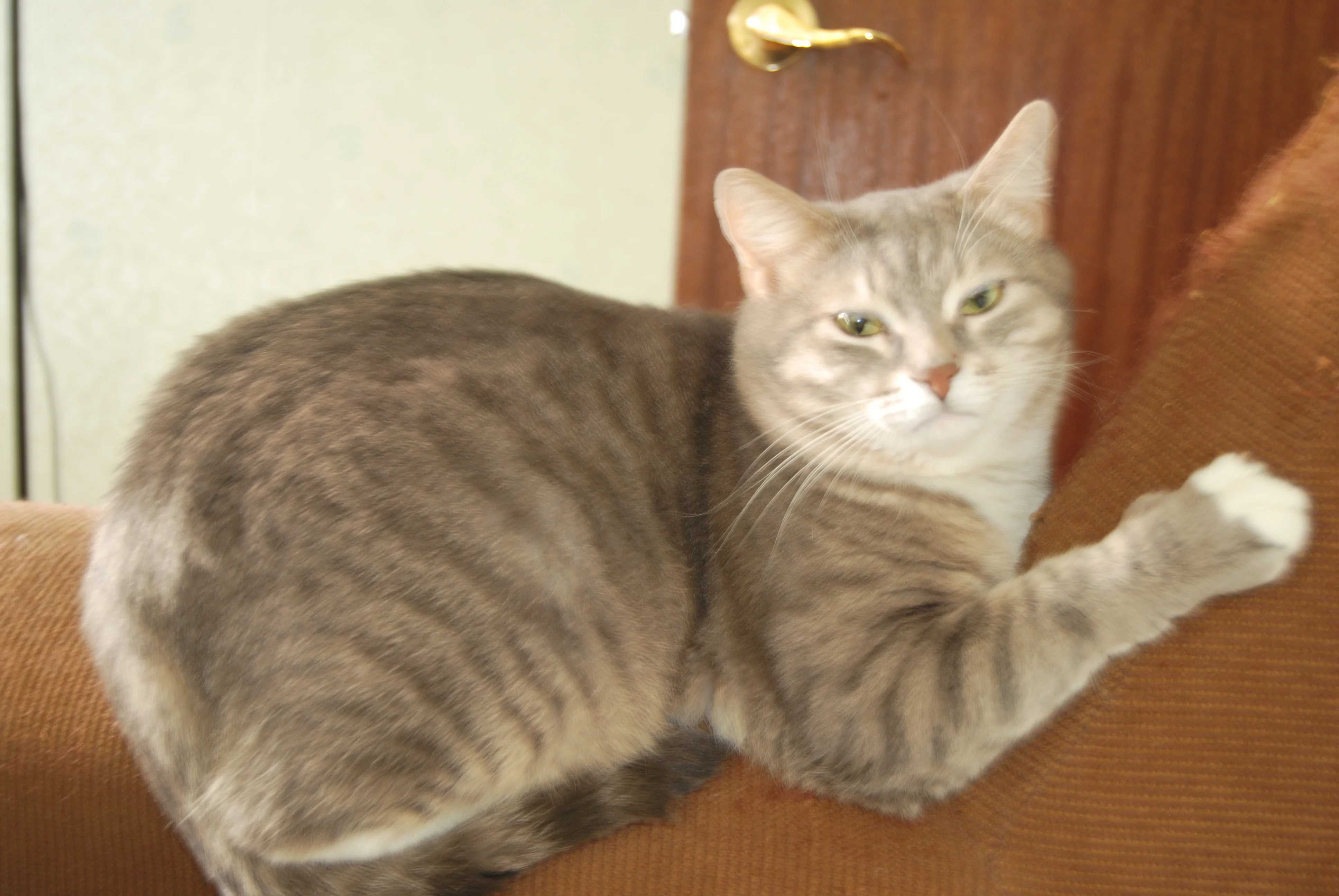 2013-12-18 12.33.32.webp