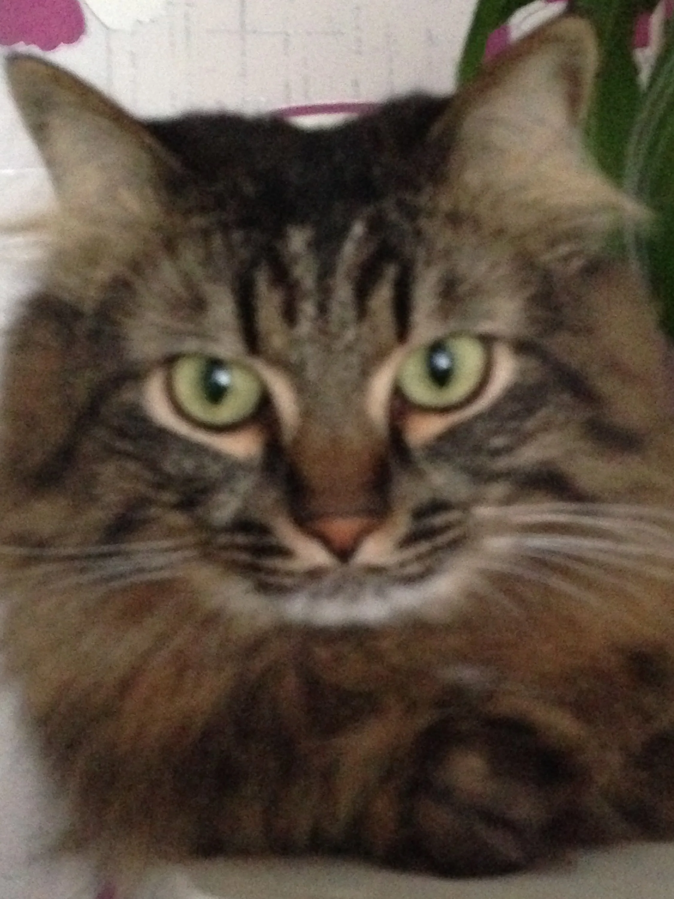 2013-12-23 14-48-23.webp