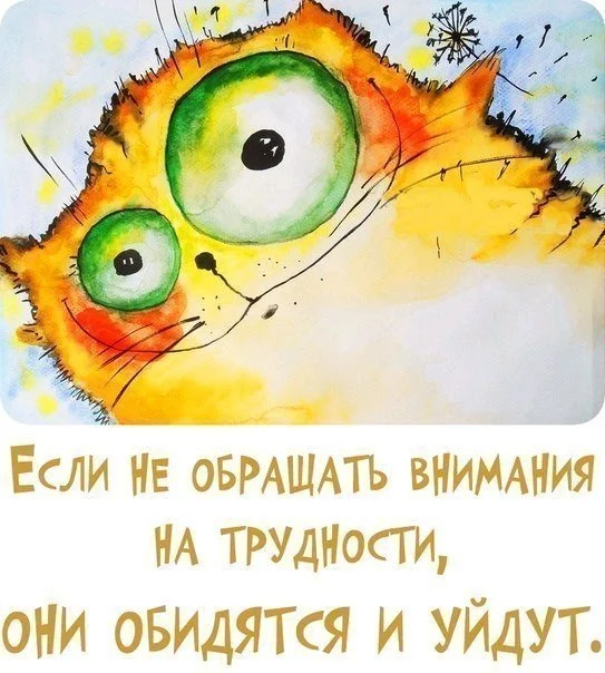 201312280012-esli-ne-obraschat-vnimanie-na-trudnosti-oni-obidyatsya-i-uydut-kashamalasha-com.webp