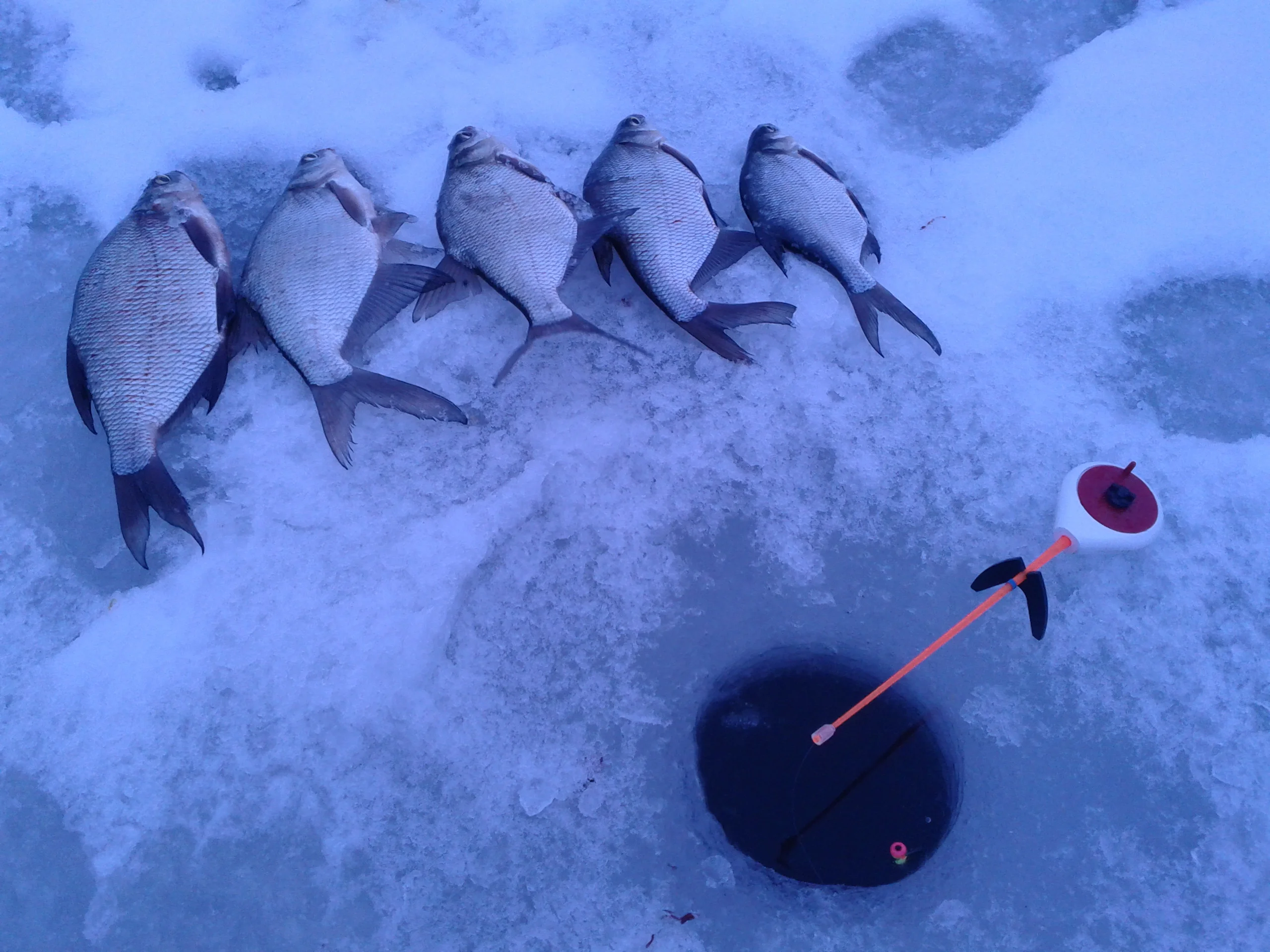 2014-01-06 16.41.06.webp