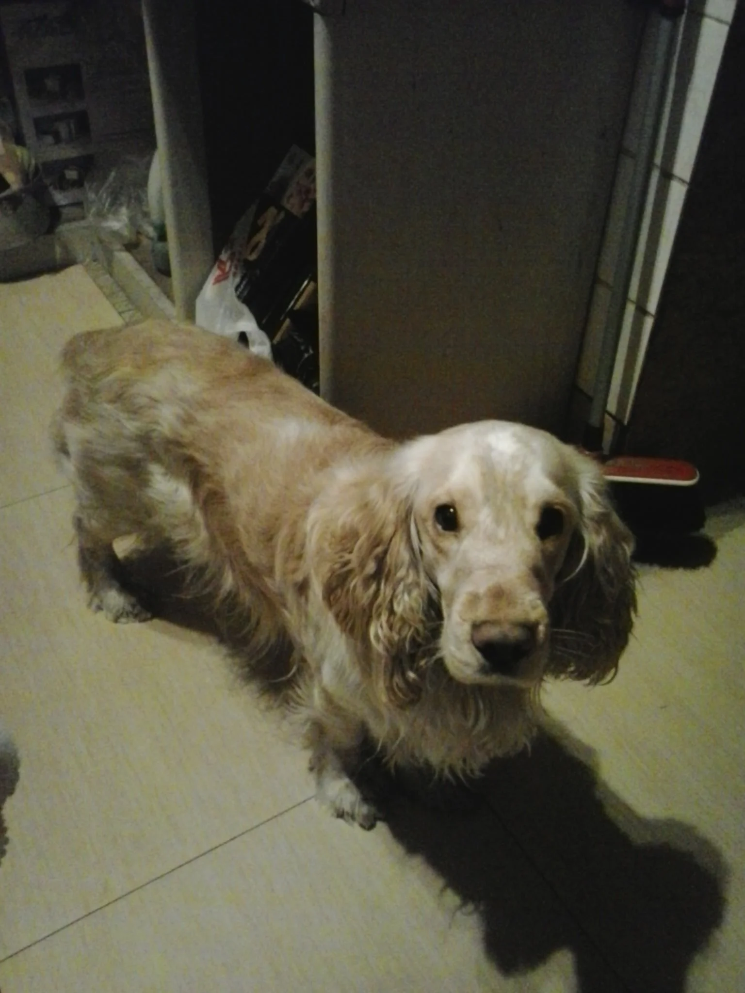 2014-01-12 23.35.41.webp