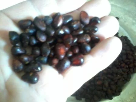 2014-03-10 12.46.58.webp