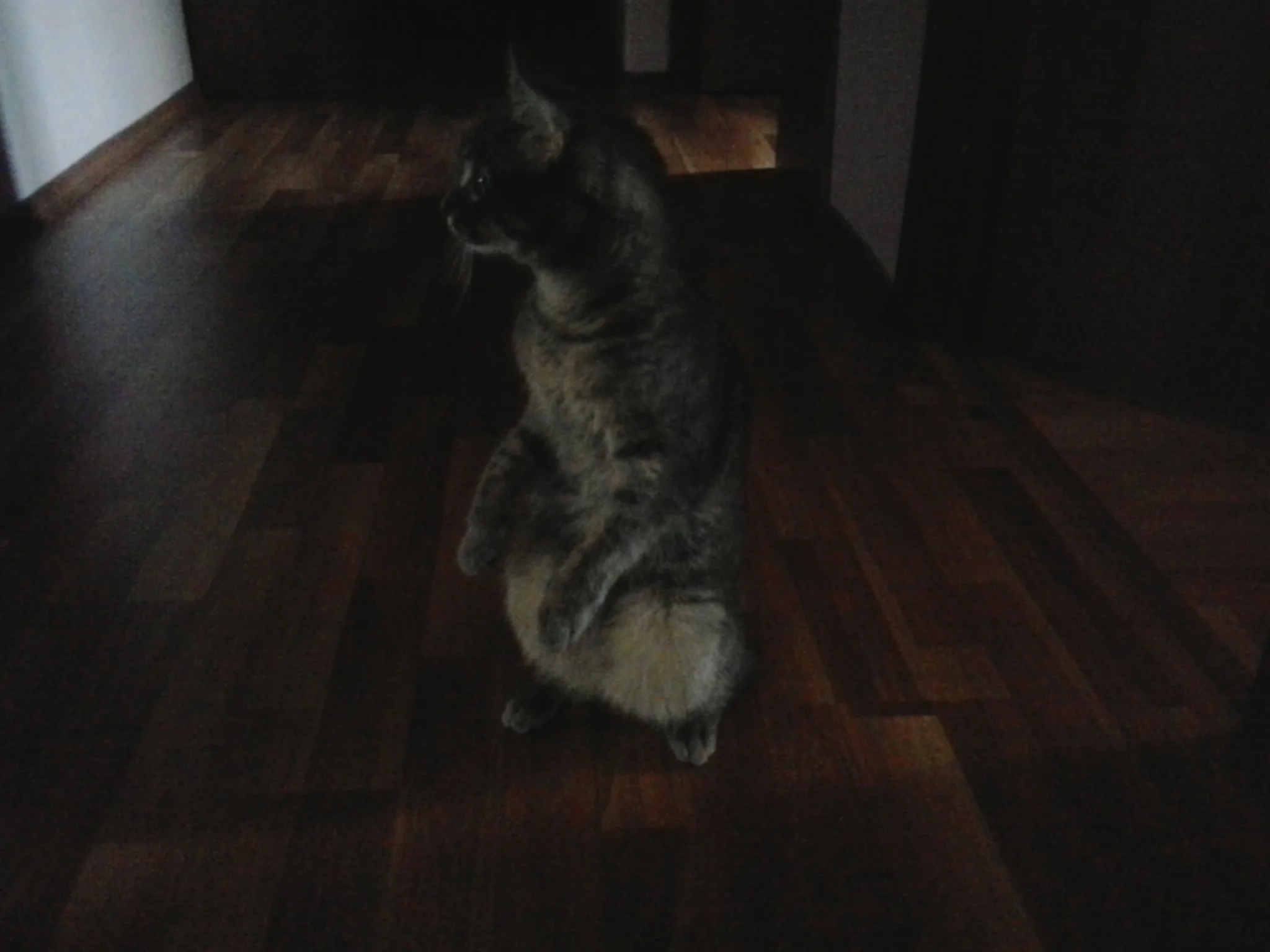 2014-03-23 17.20.08.webp