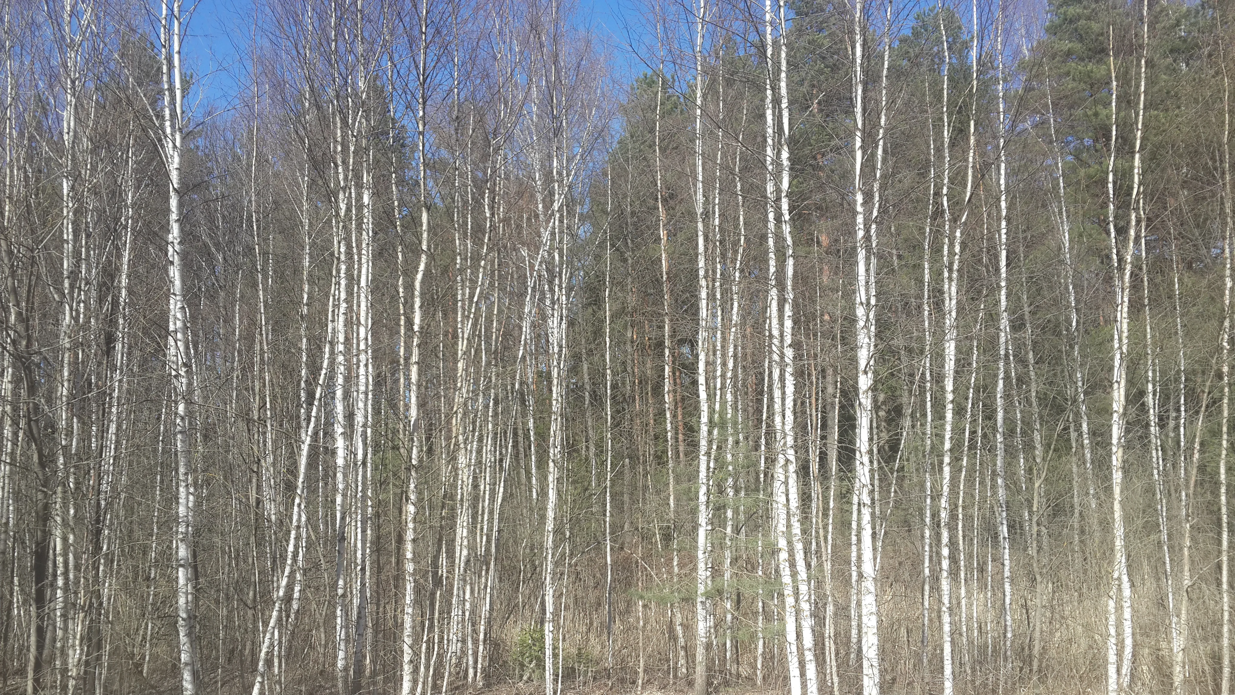 2014-03-29 14.22.08.webp