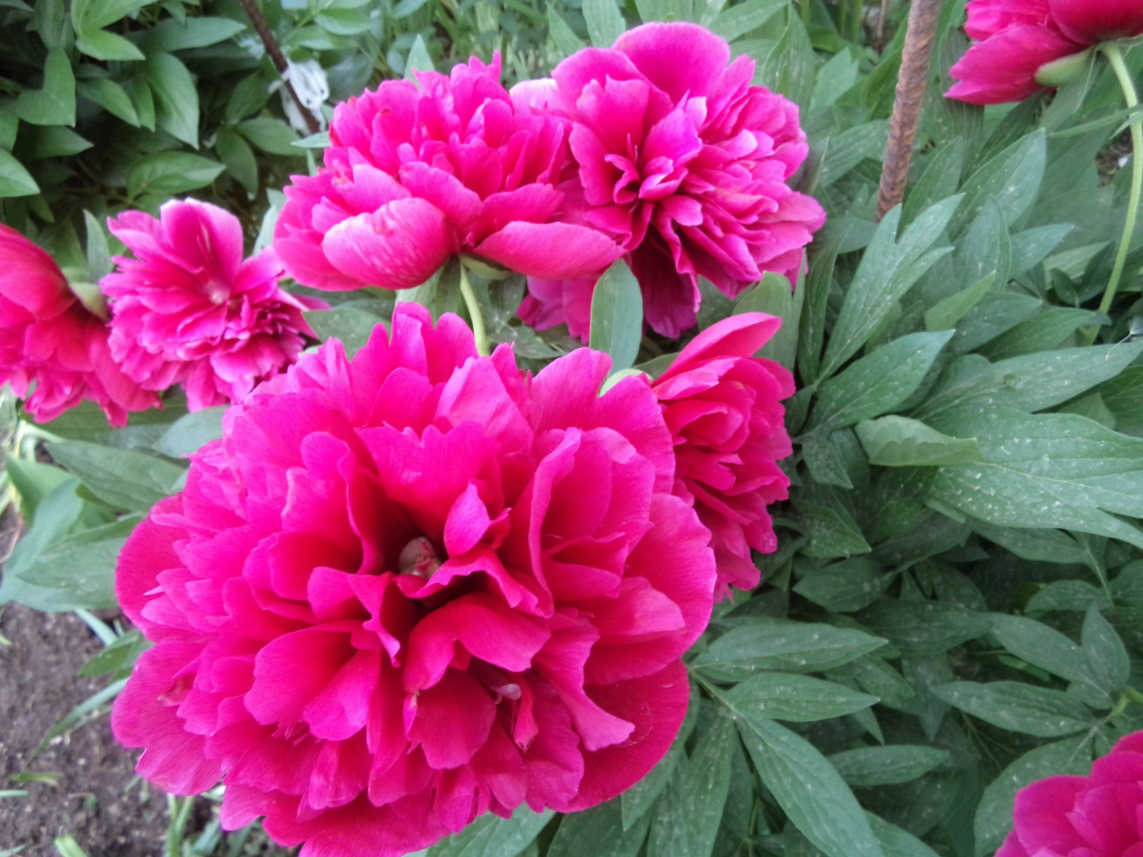 2014-06-05 17-13-28.webp