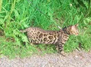 2014-06-05 18.25.39-1.webp