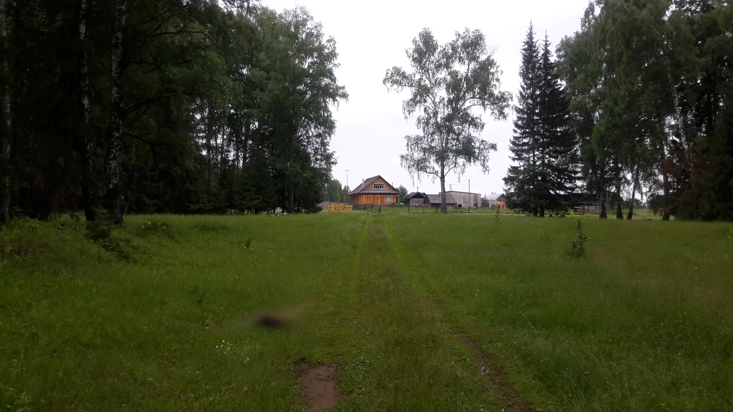 2014-07-01 15-36-38.webp