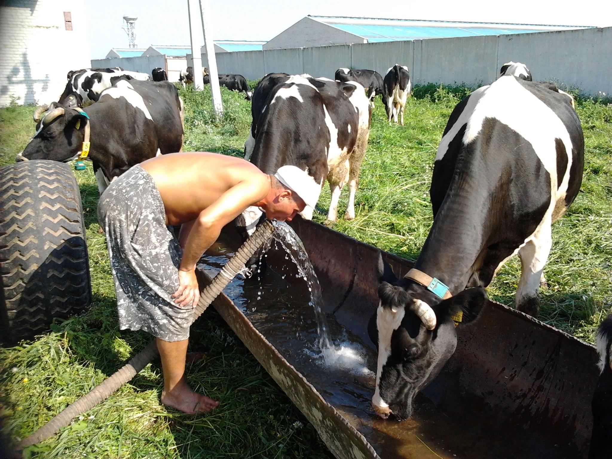 2014-08-04 10.00.05.webp