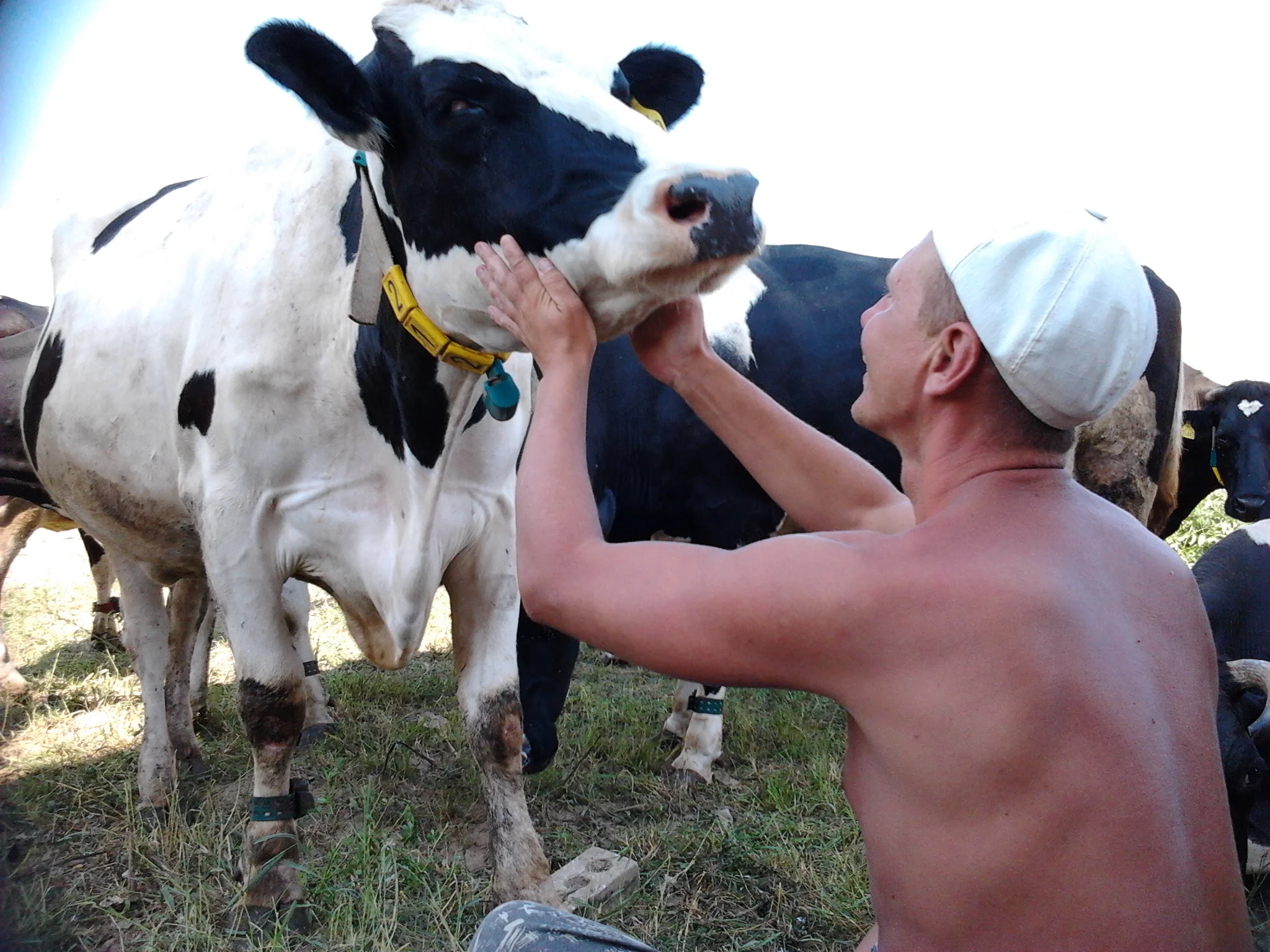 2014-08-04 14.06.44.webp