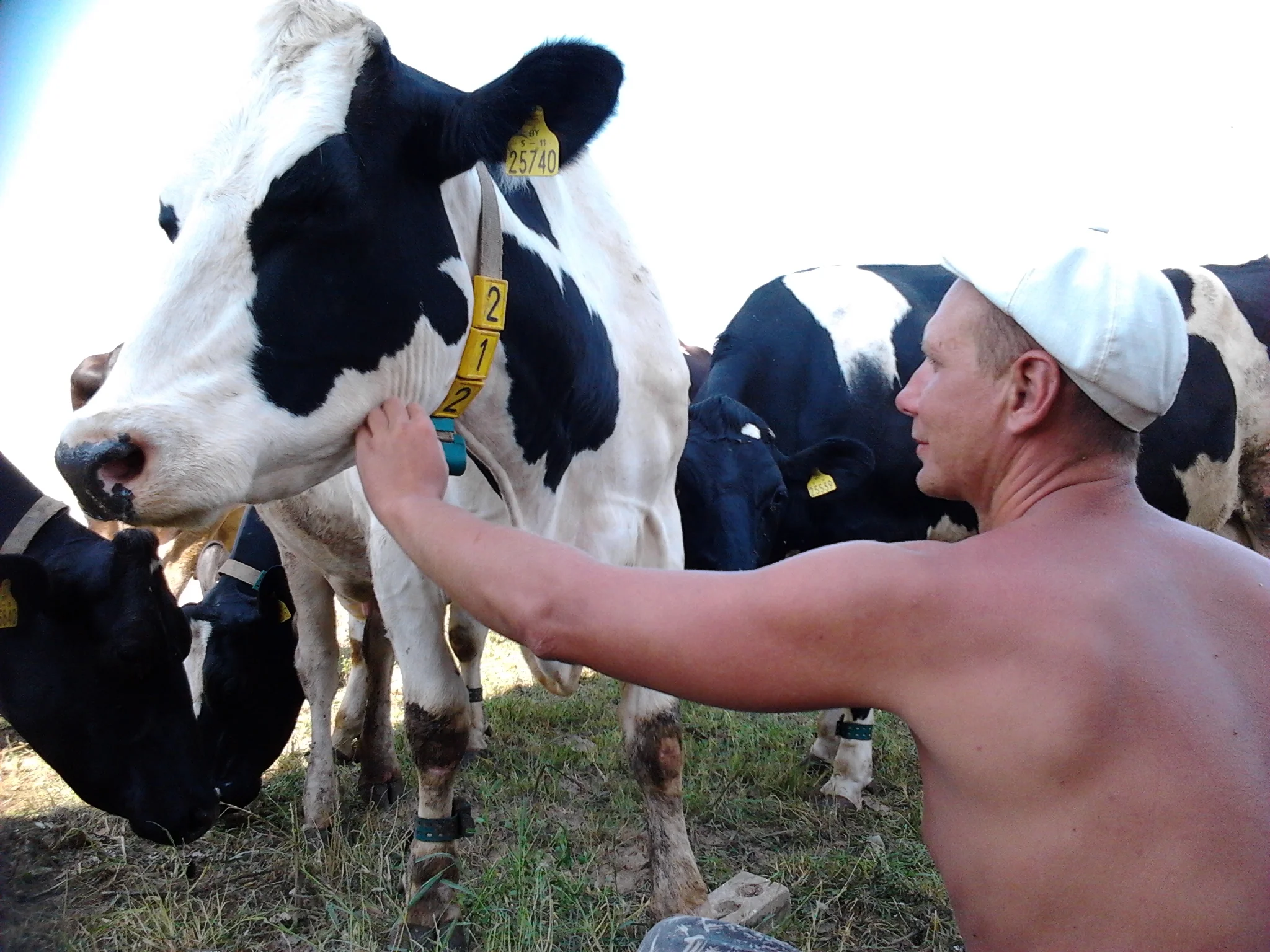 2014-08-04 14.06.54.webp