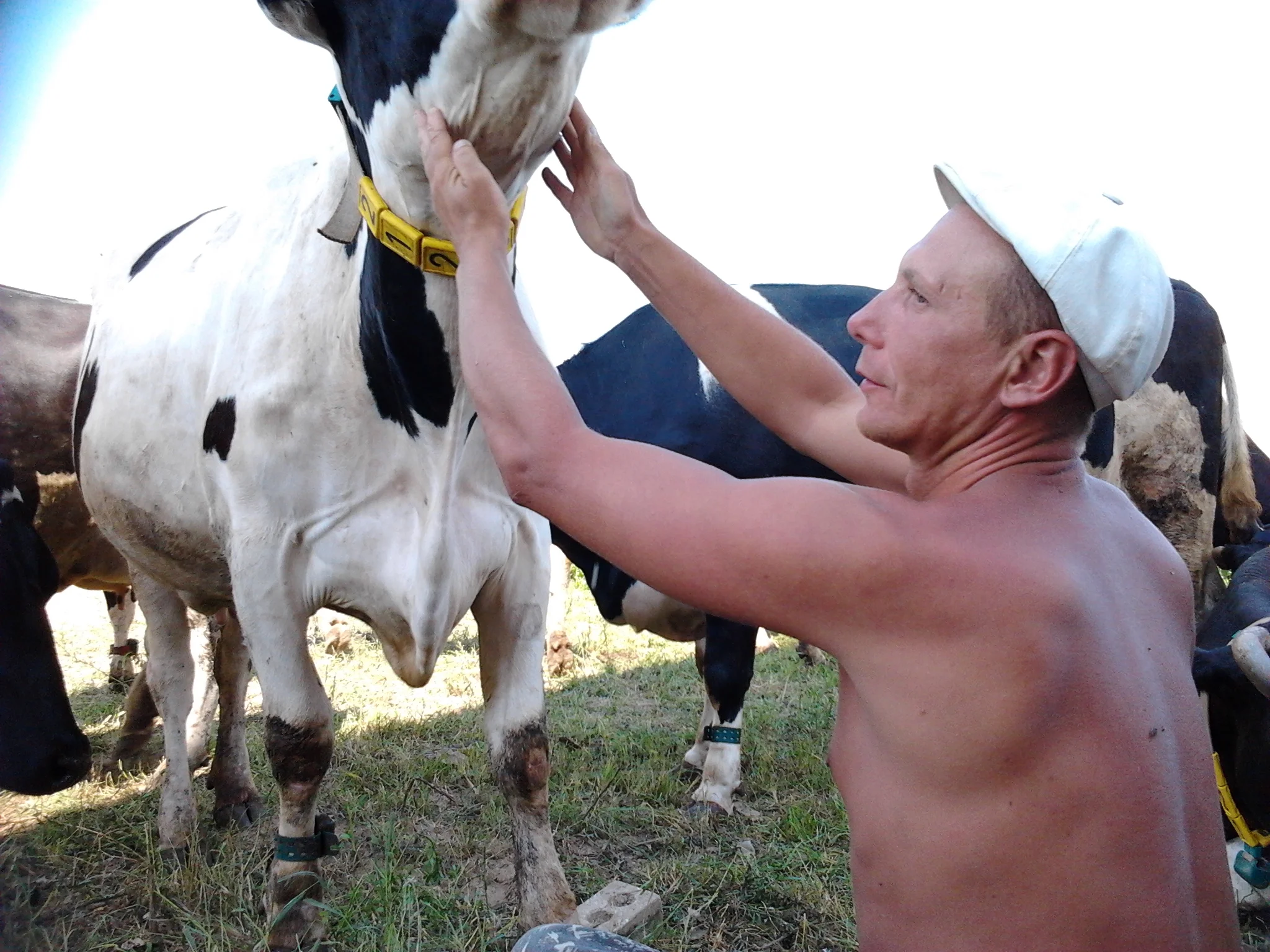 2014-08-04 14.07.01.webp