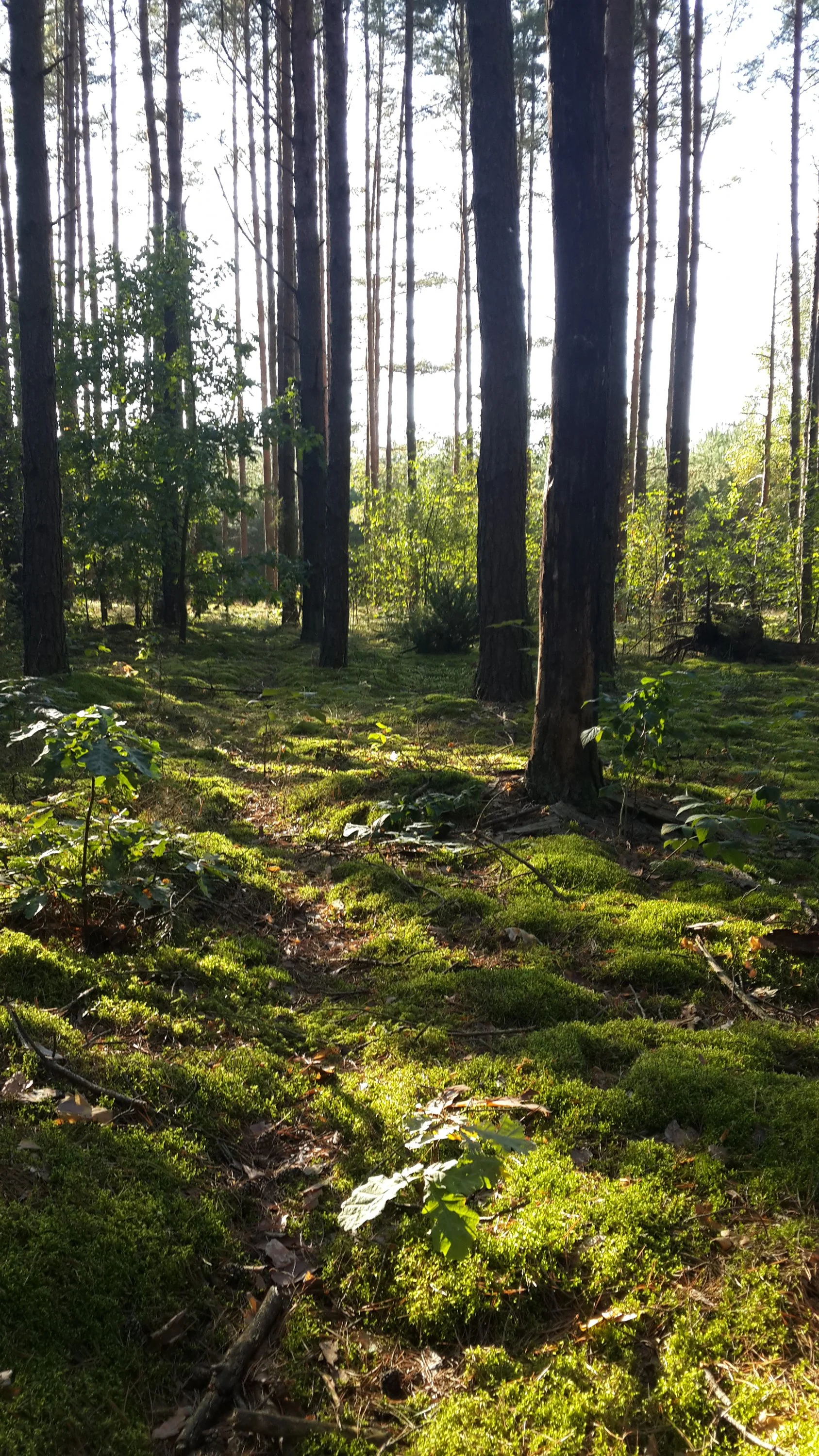 2014-09-13 17.04.19.webp