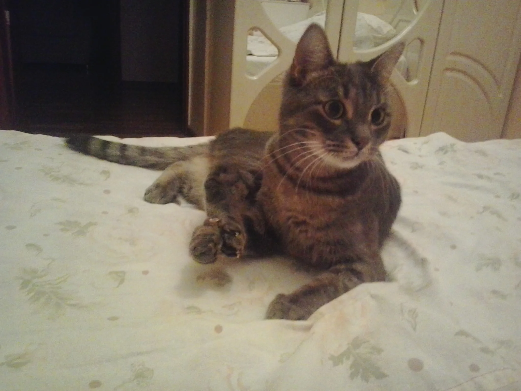 2014-09-16 20.47.20.webp