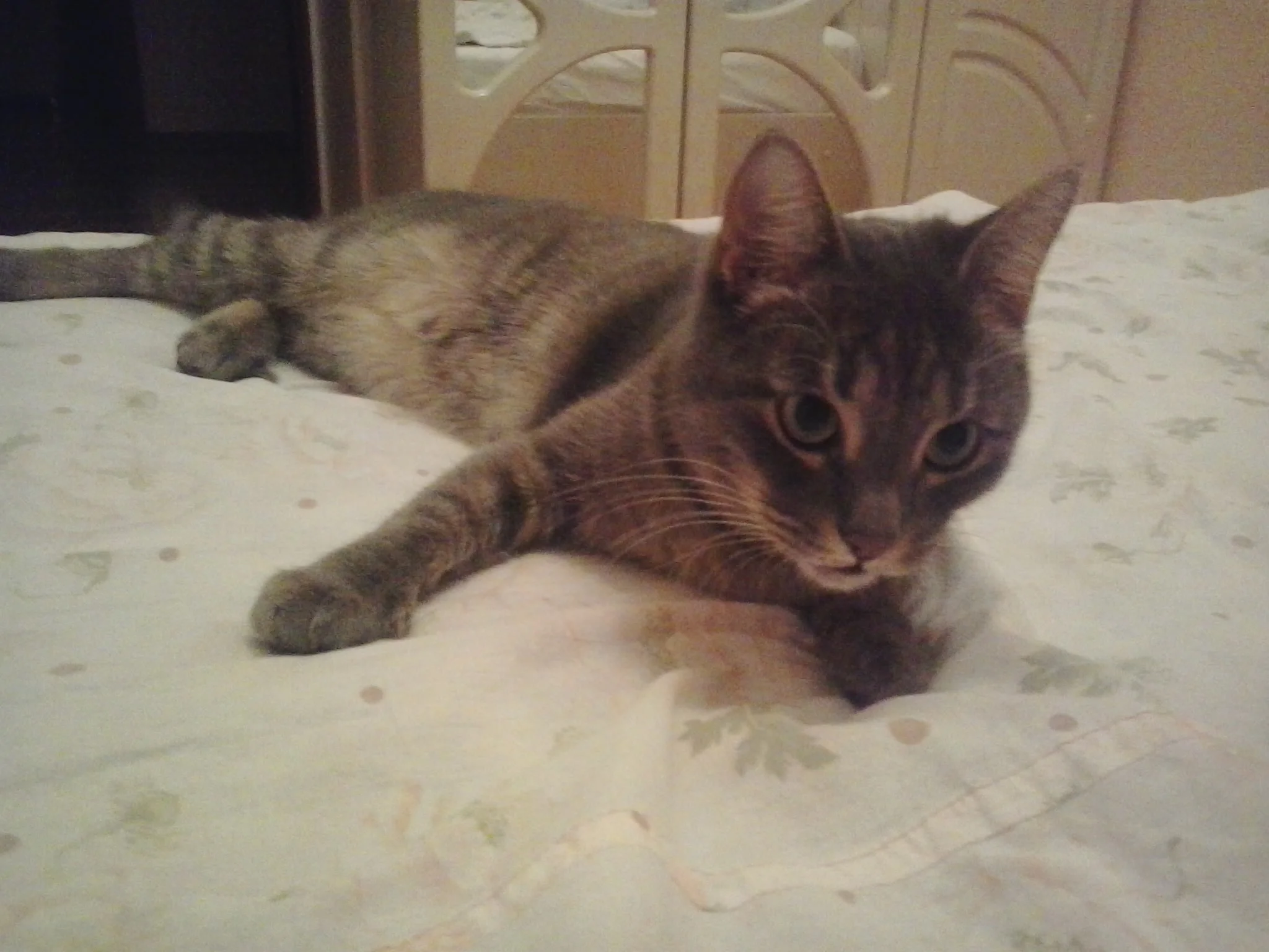 2014-09-16 20.48.00.webp