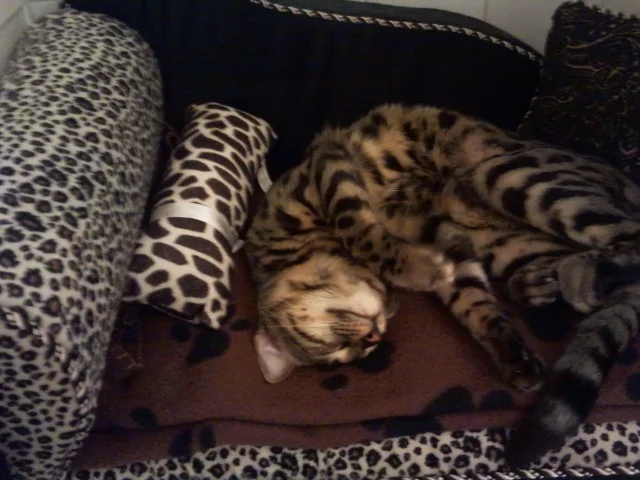 2014-10-18 13.29.35.webp