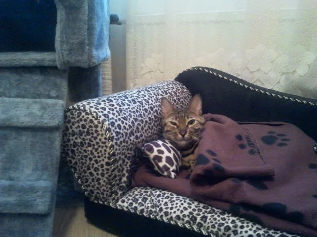 2014-10-19 13.07.37.webp