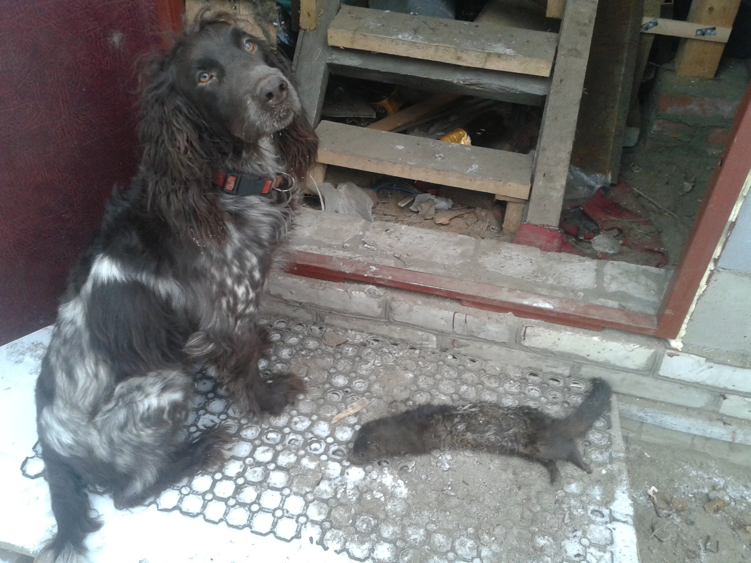 2014-11-28 12.16.15 — копия.webp