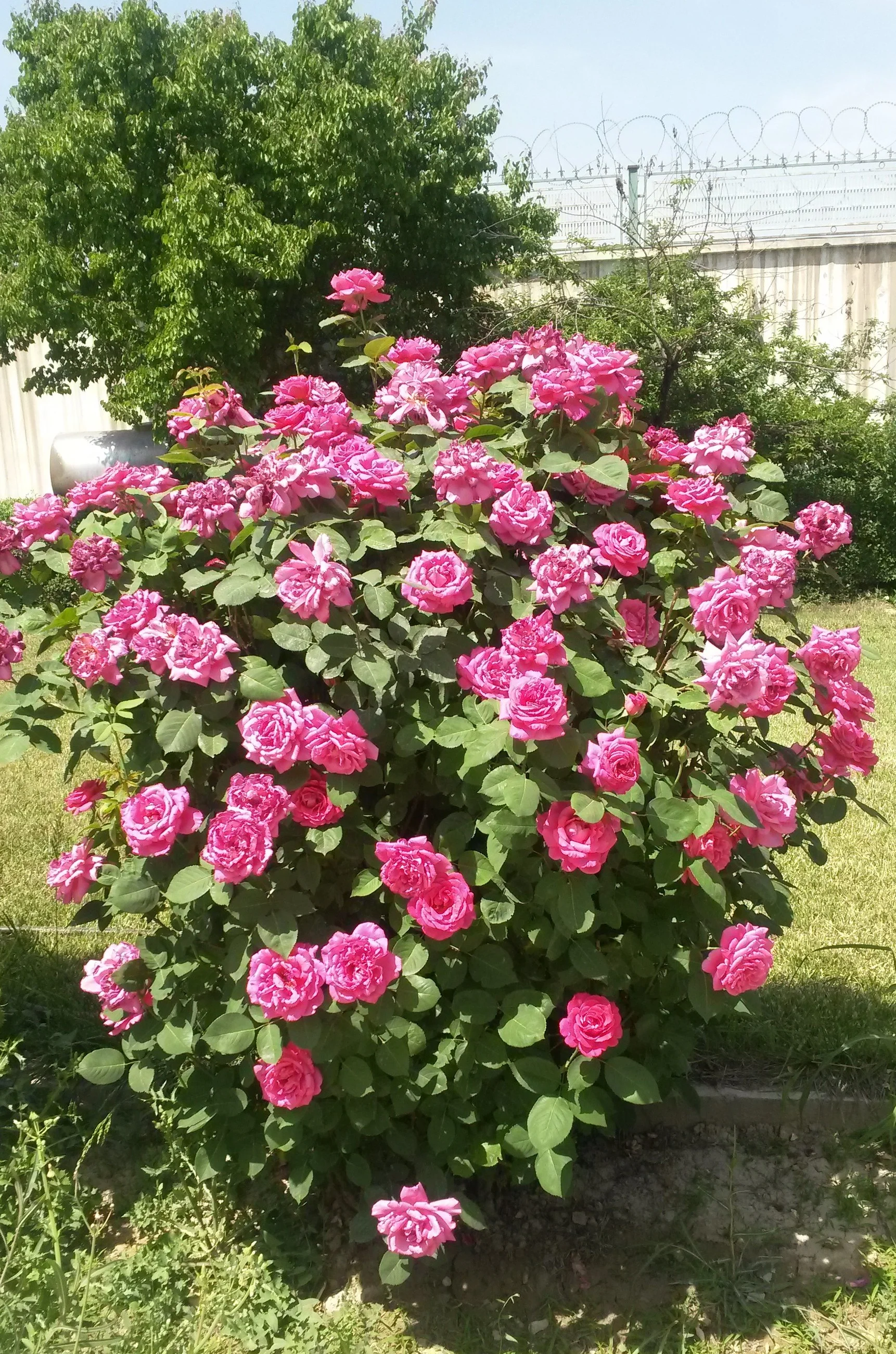 20140503_103952.webp