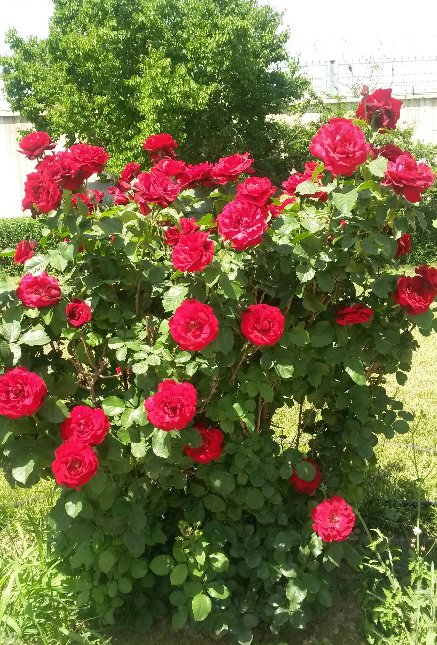 20140503_103957.webp