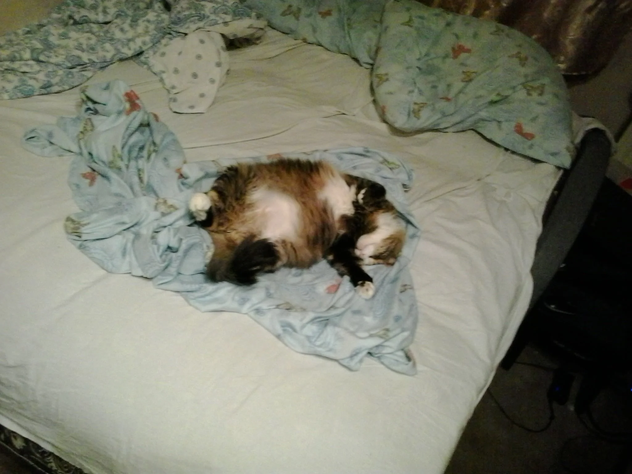 2015-02-13 22.35.14.webp