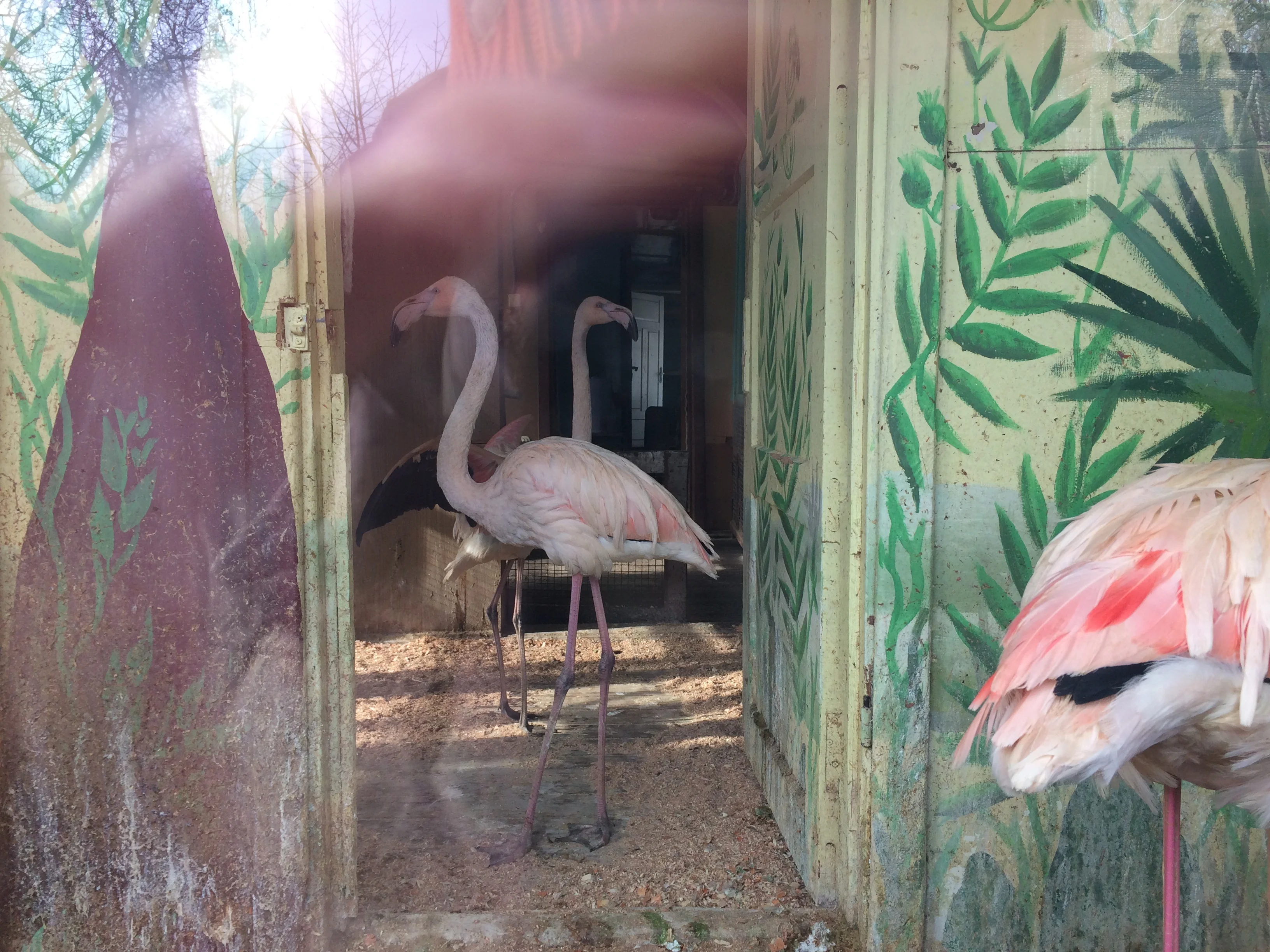 2015-02-21 13.38.30.webp