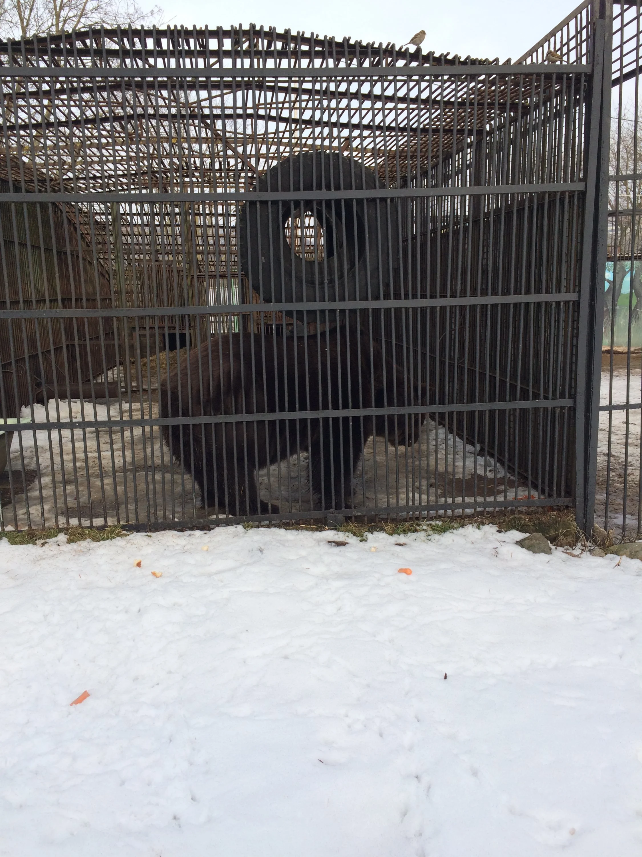 2015-02-21 13.46.53.webp