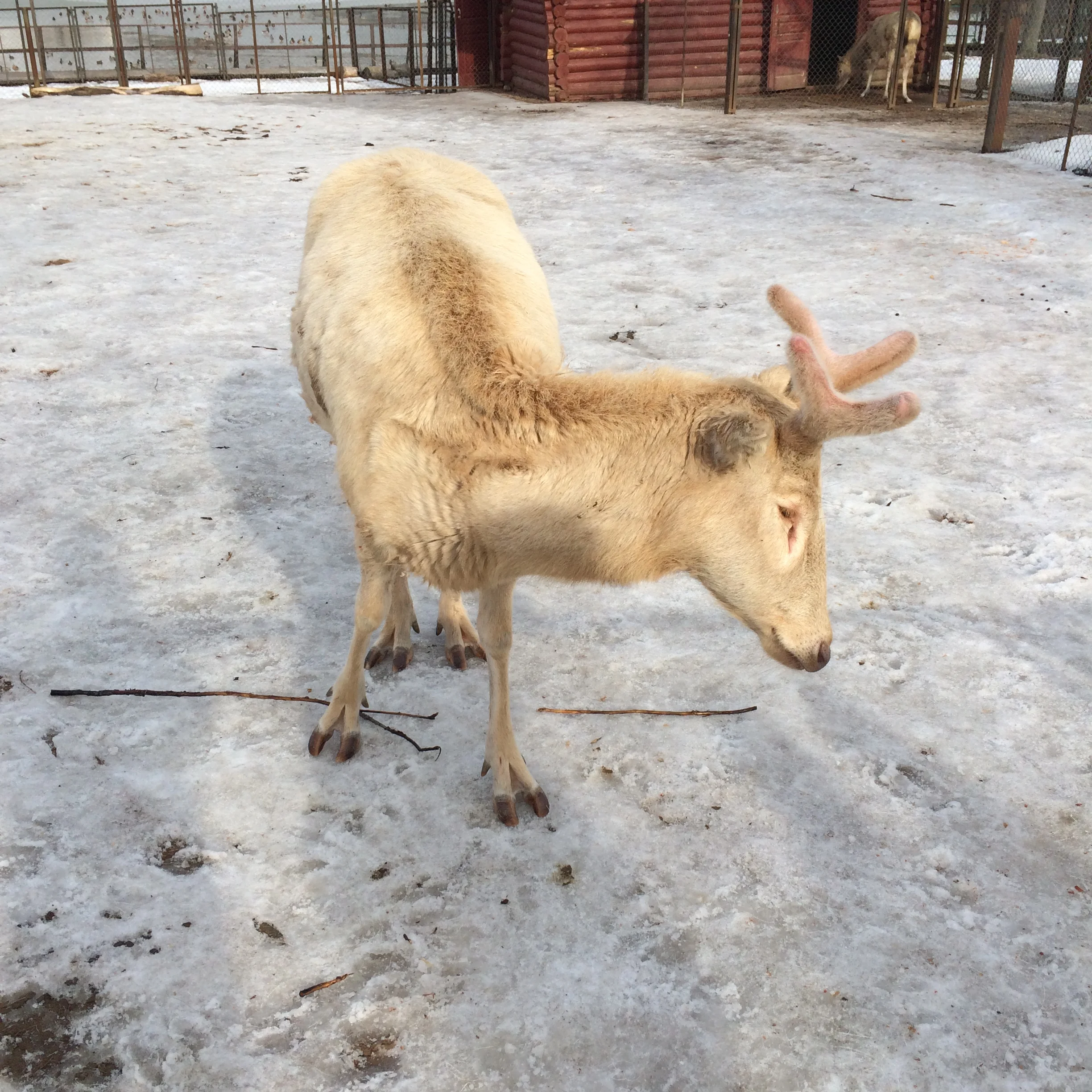 2015-02-21 13.51.04.webp