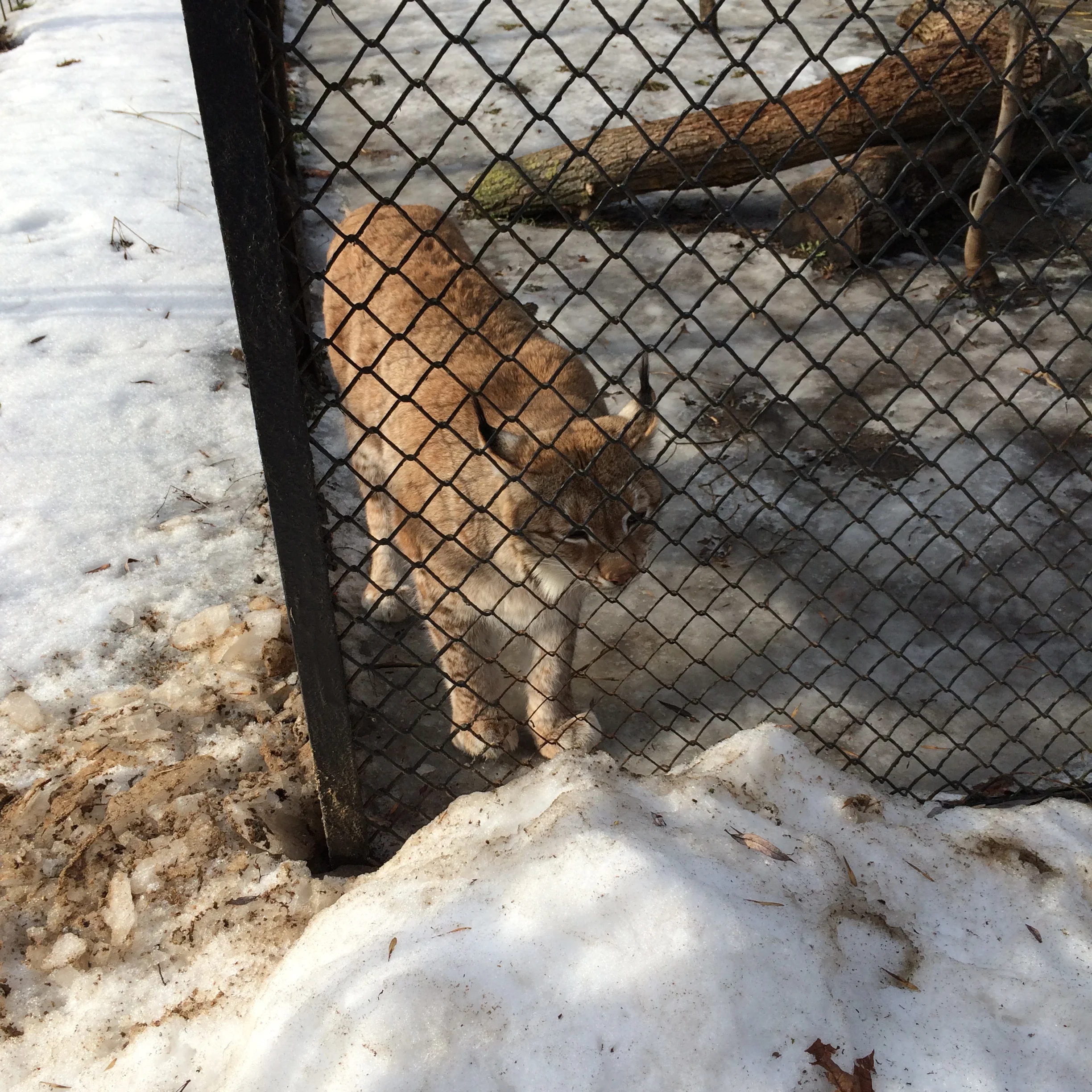 2015-02-21 14.02.25.webp