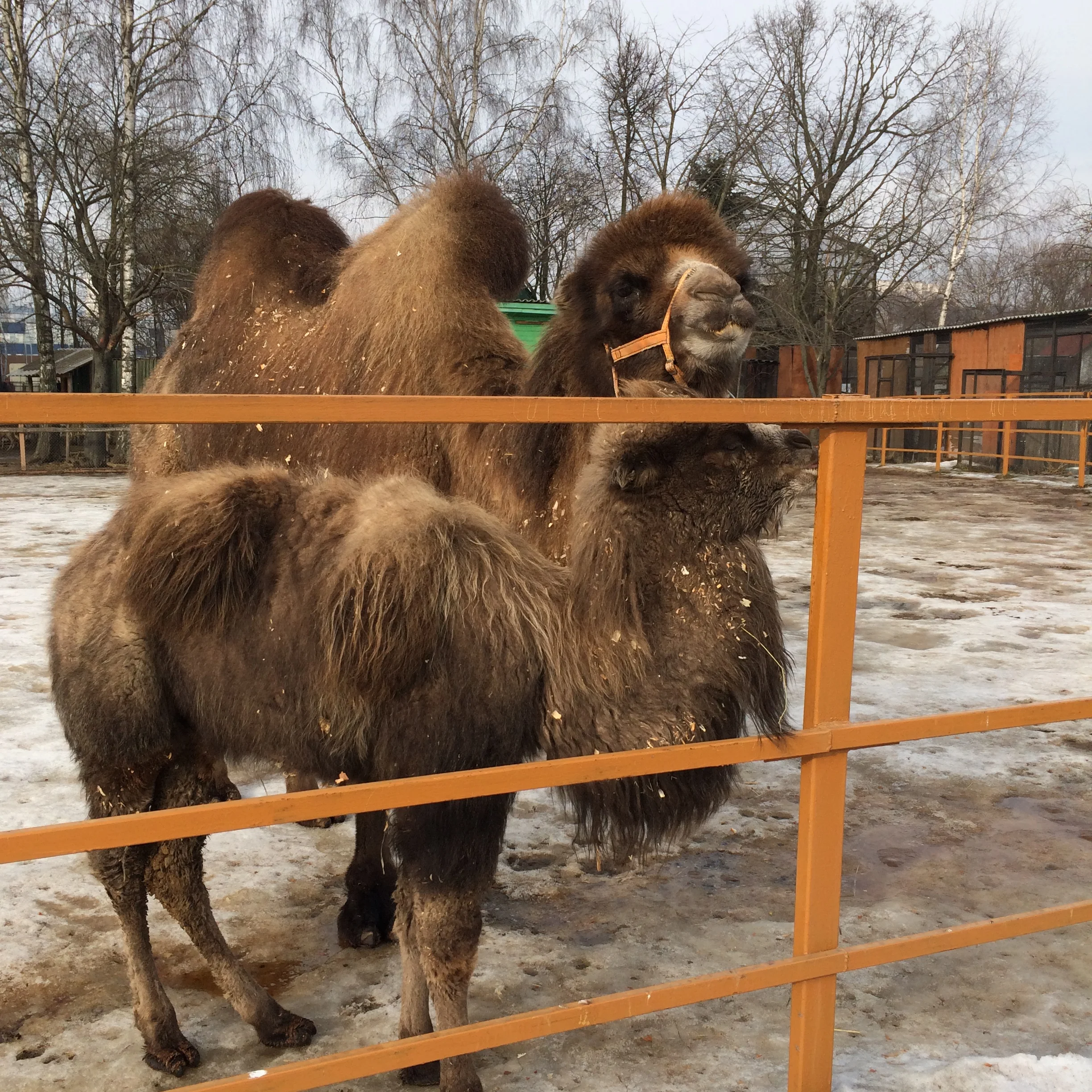 2015-02-21 14.34.01.webp