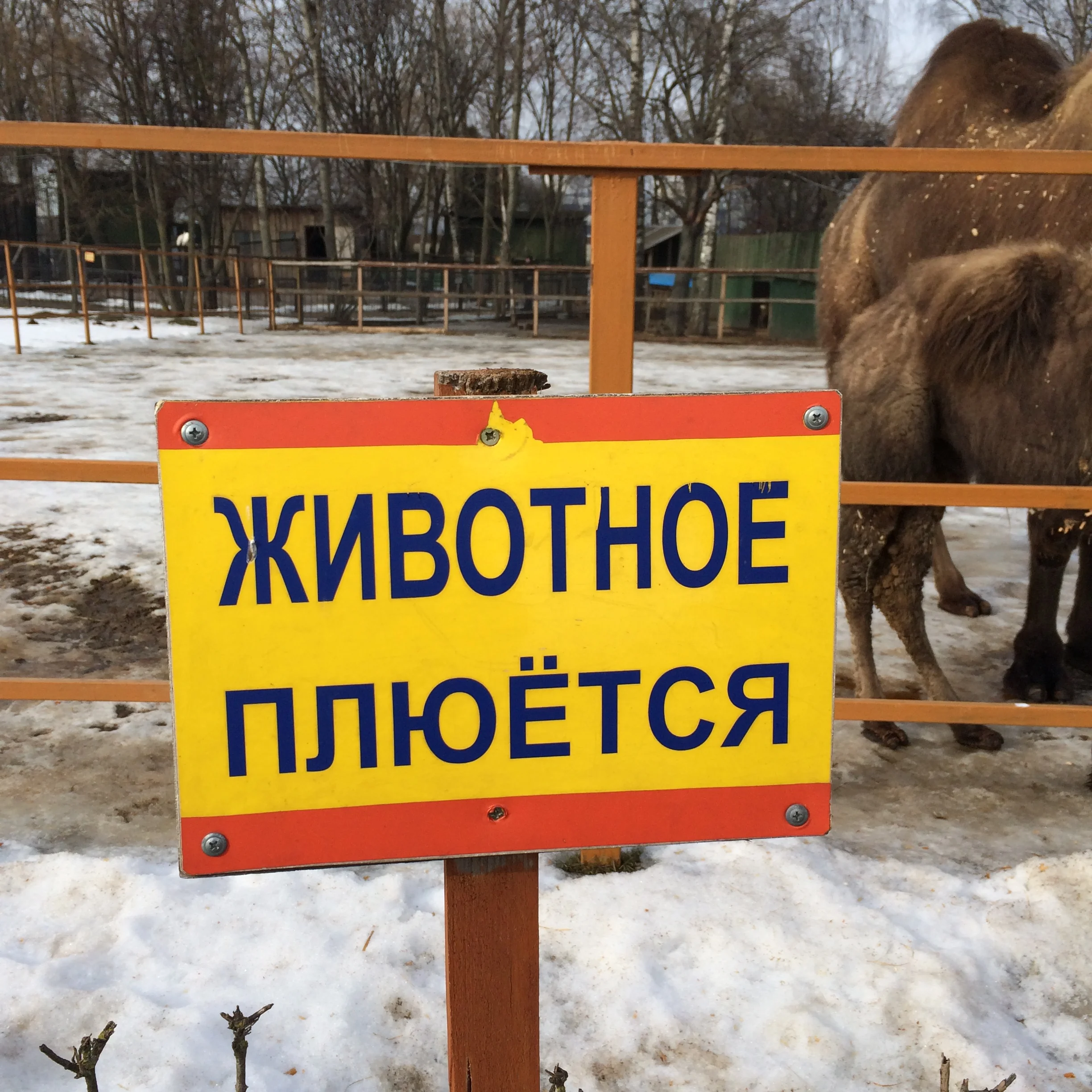 2015-02-21 14.34.16.webp