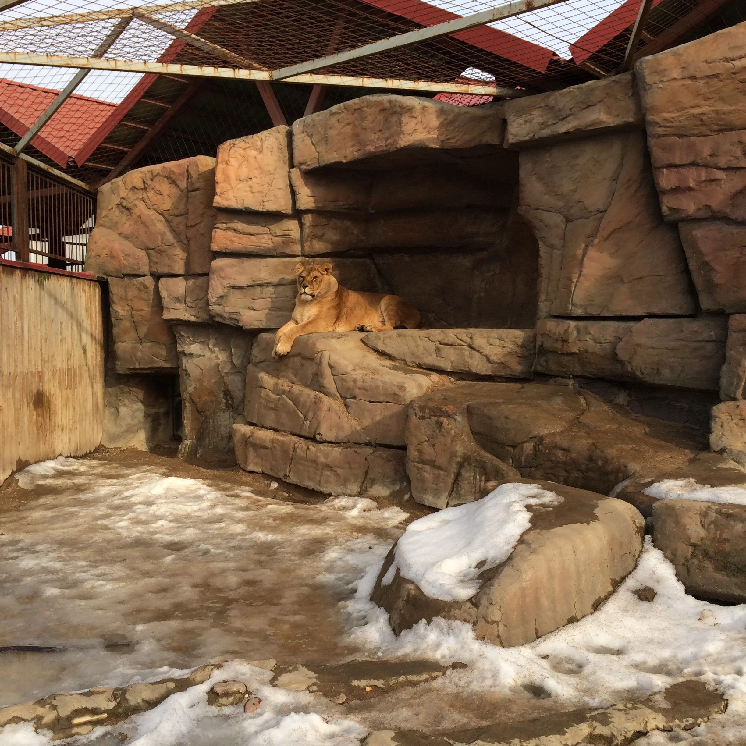 2015-02-21 14.35.58.webp